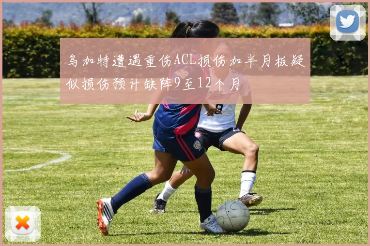 乌加特遭遇重伤ACL损伤加半月板疑似损伤预计缺阵9至12个月